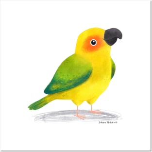 Conure Bird Posters and Art